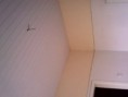 /album/forros-de-isopor/img-20130313-103812-jpg/